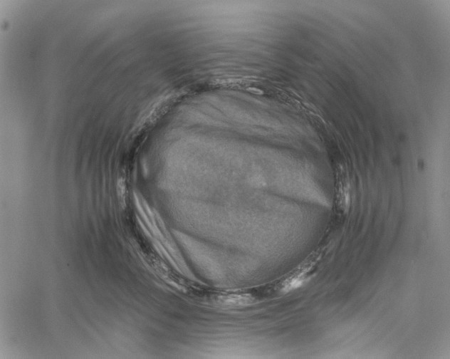 X0000060570716200512011707