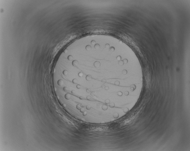 X0000060570721200512011706