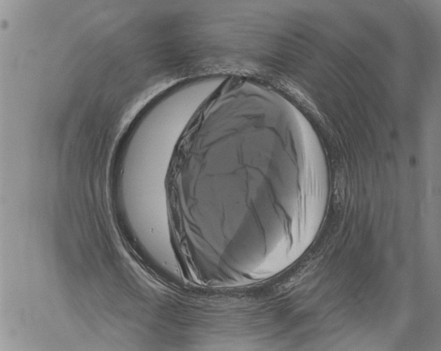 X0000060570722200512011706