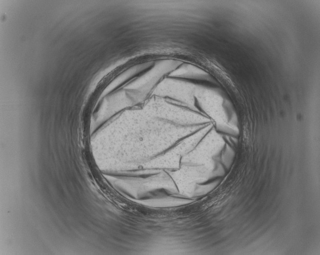 X0000060570724200512011706