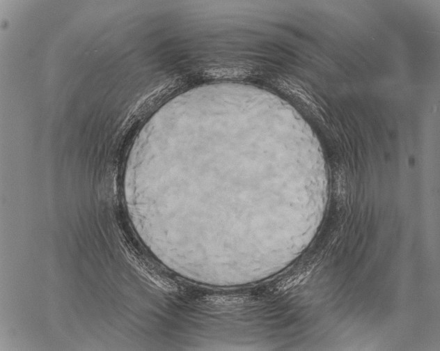 X0000060570733200512011707