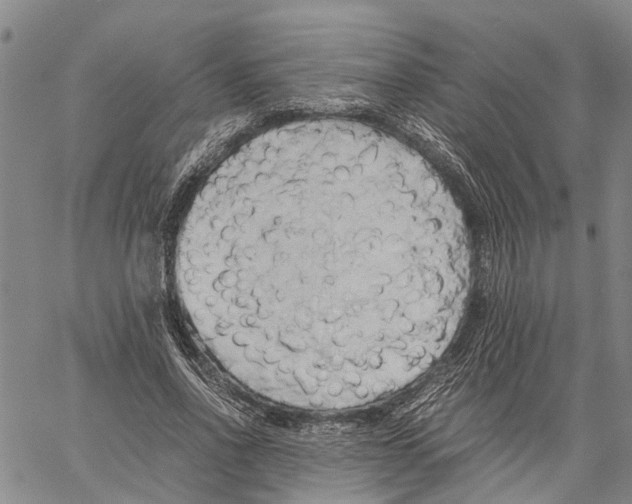 X0000060570734200512011707