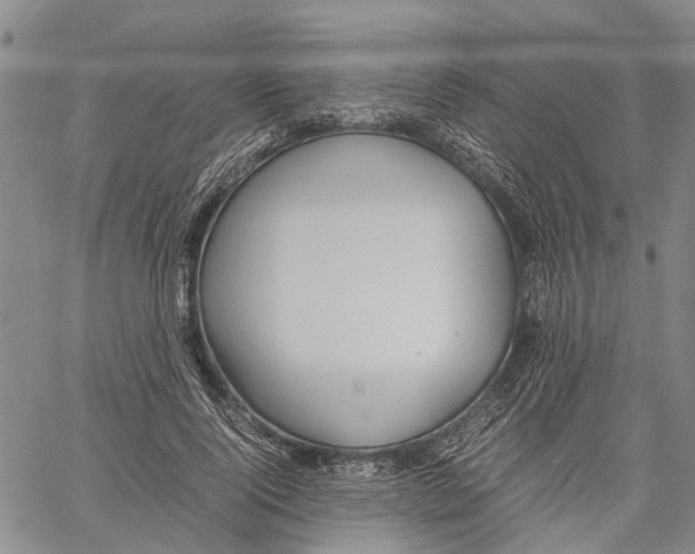 X0000060570740200512011707