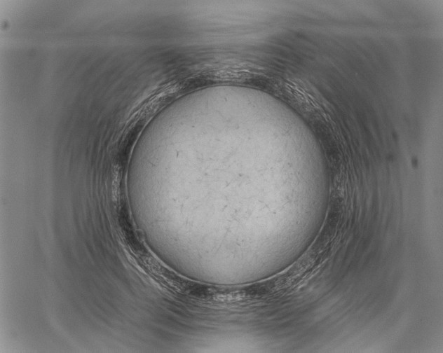 X0000060570744200512011707