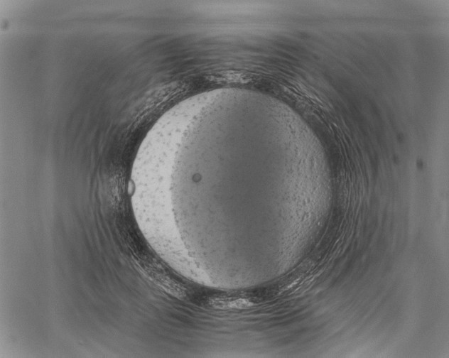 X0000060570747200512011707