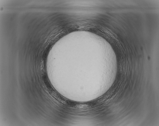 X0000060570748200512011707