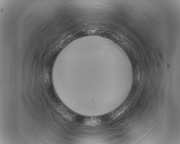 X0000060570754200512011707