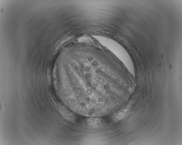 X0000060570762200512011707