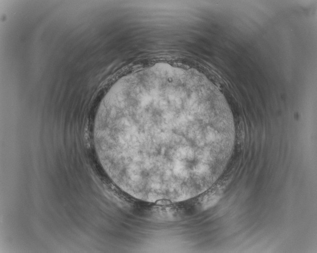 X0000060570764200512011707