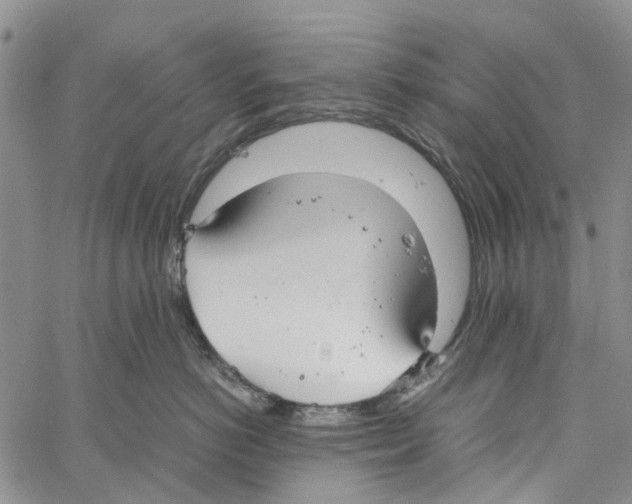 X0000060570766200512011707