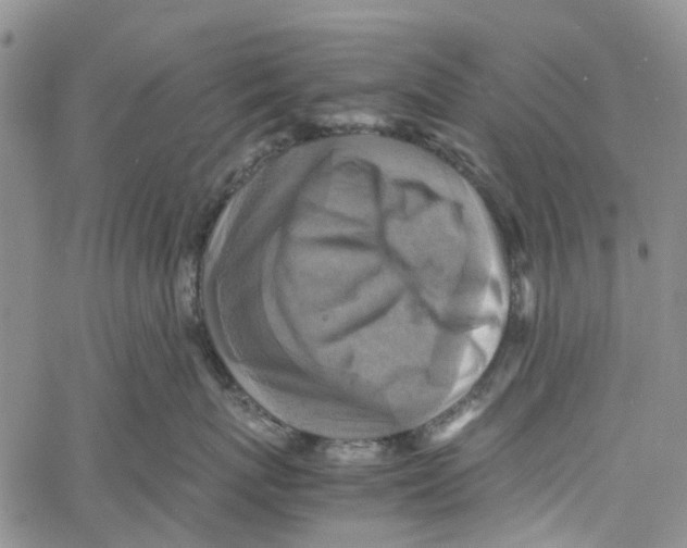 X0000060570767200512011707