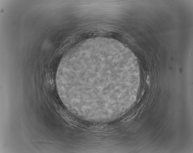 X0000060570771200512011706