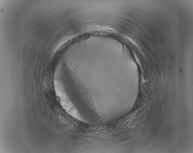 X0000060570775200512011706