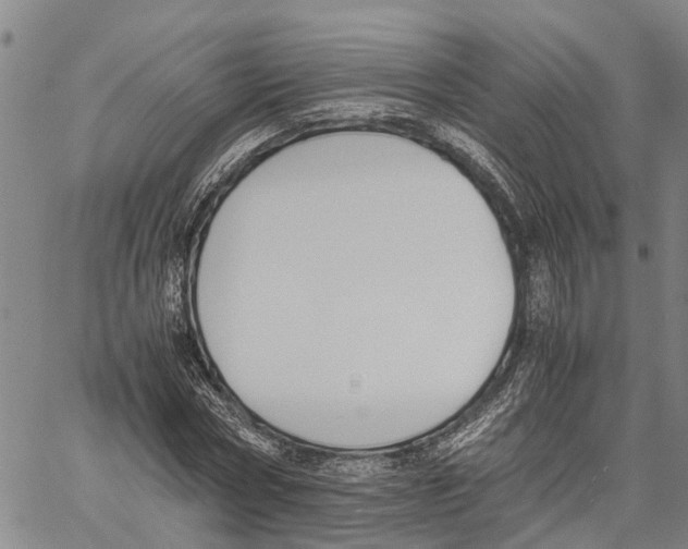 X0000060570778200512011706