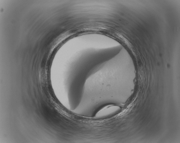 X0000060570779200512011706