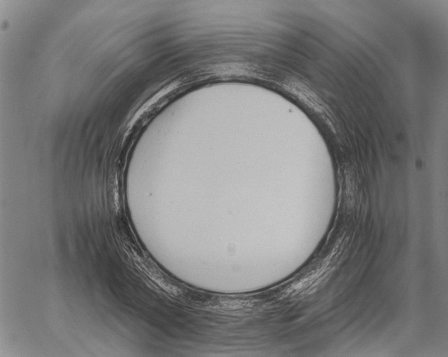 X0000060570782200512011706