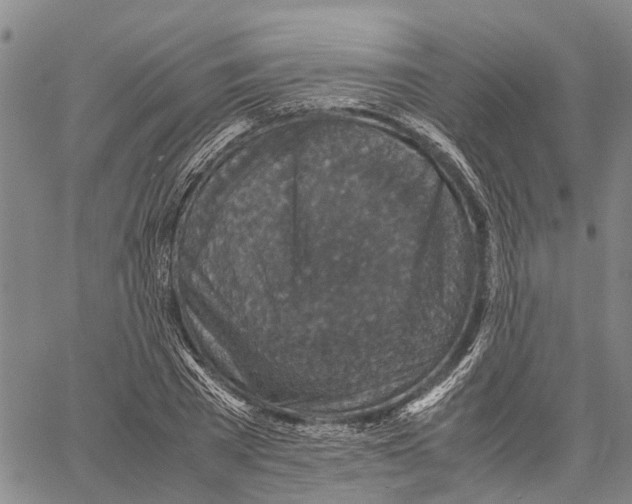 X0000060570785200512011706