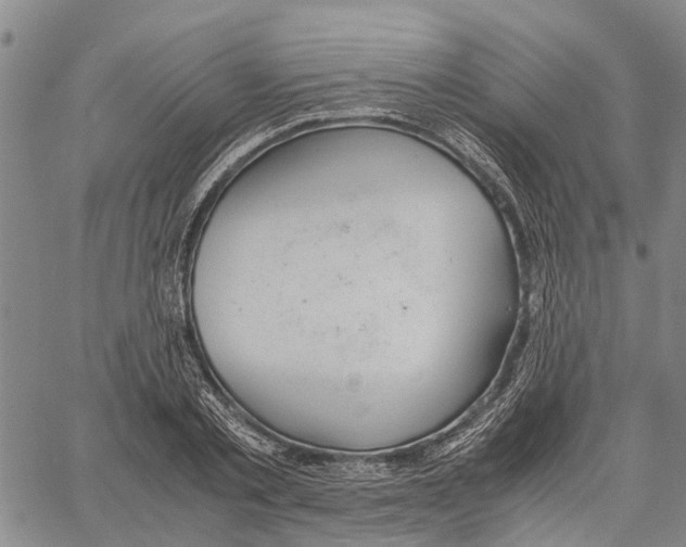 X0000060570789200512011706