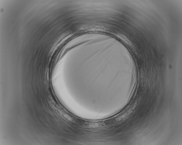 X0000060570790200512011706