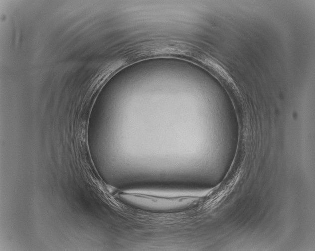 X0000060570793200512011706
