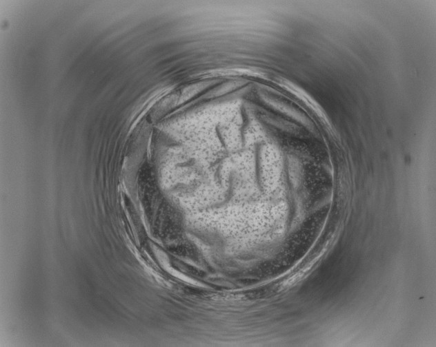 X0000060570809200512011706