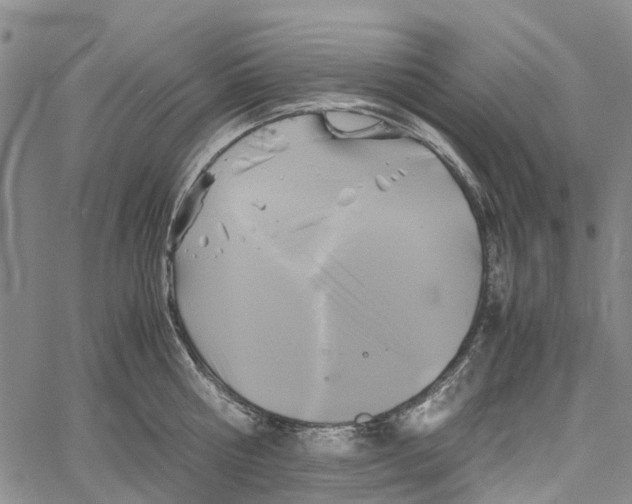 X0000060570810200512011706