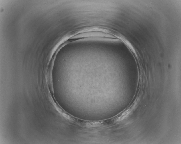 X0000060570813200512011706