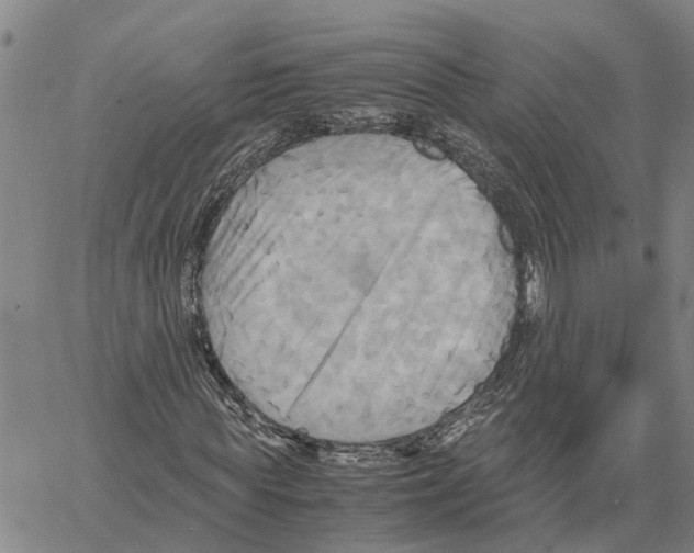 X0000060570819200512011705