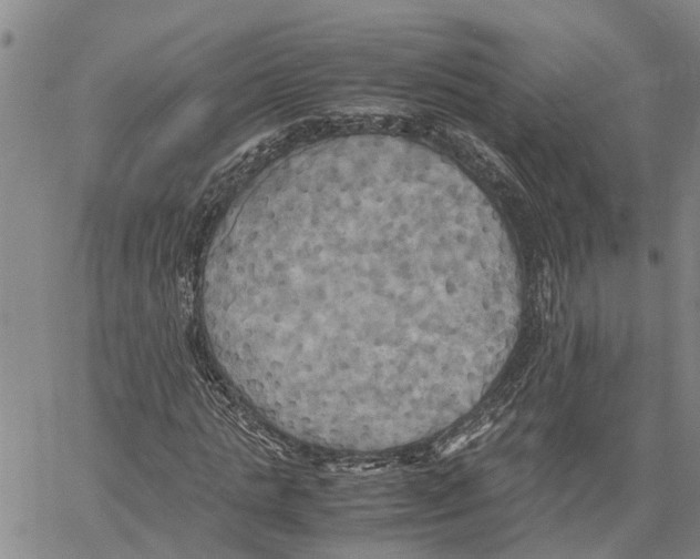 X0000060570821200512011705