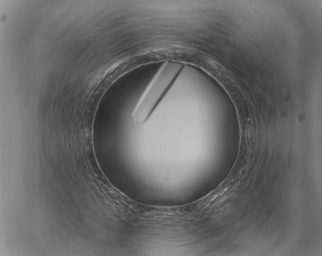 X0000060570822200512011705