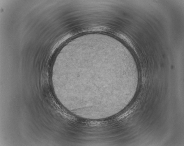 X0000060570827200512011705