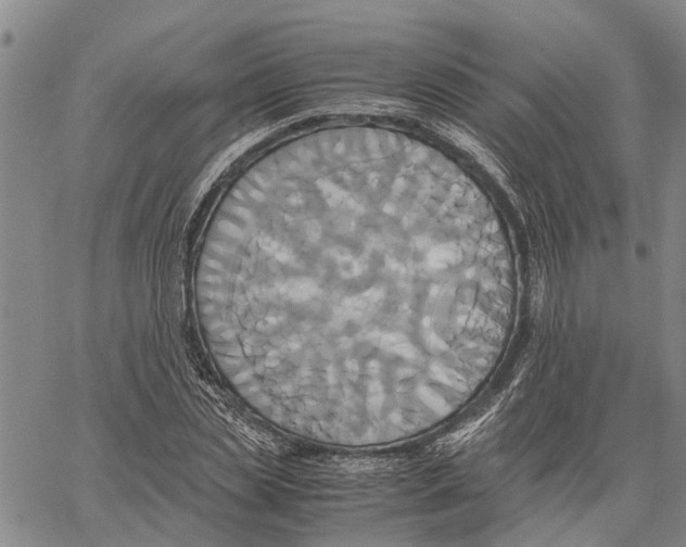X0000060570829200512011705