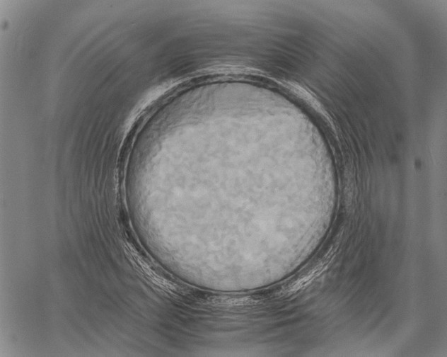 X0000060570831200512011705