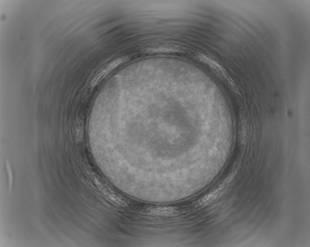 X0000060570833200512011705