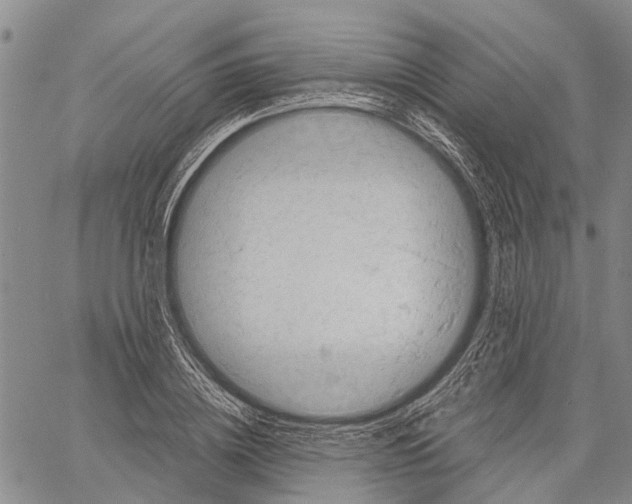X0000060570836200512011705