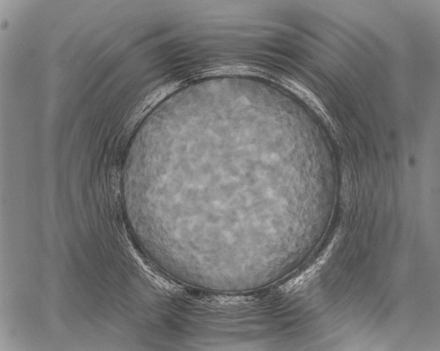 X0000060570849200512011705