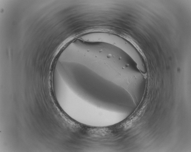 X0000060570853200512011705