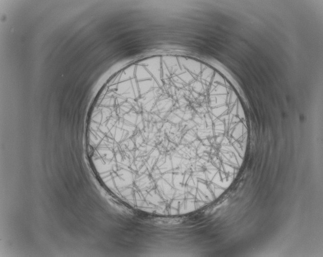 X0000060570861200512011705