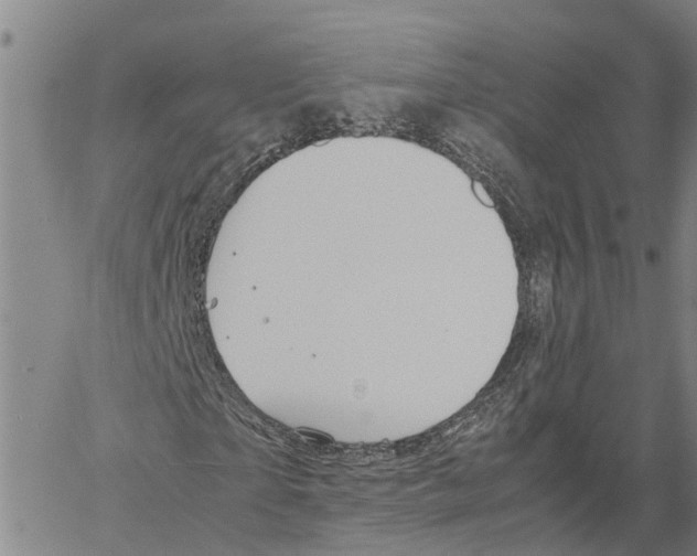 X0000060570865200512011705