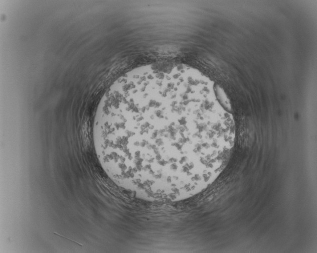 X0000060570866200512011705