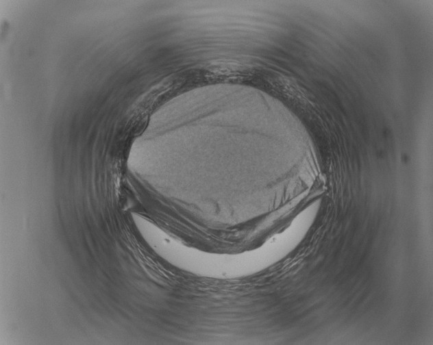 X0000060570868200512011705