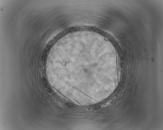 X0000060570871200512011705