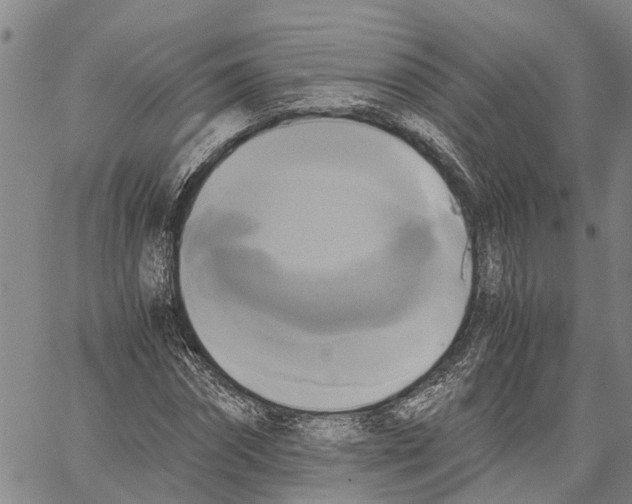 X0000060570874200512011705