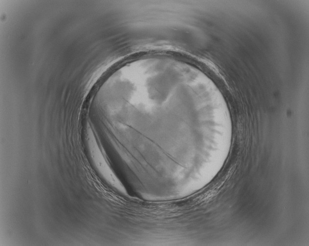 X0000060570879200512011705