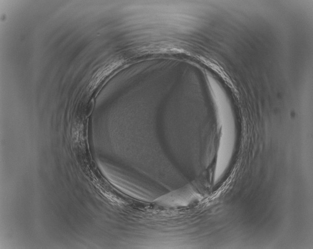 X0000060570881200512011704
