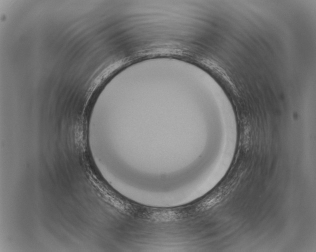 X0000060570882200512011704