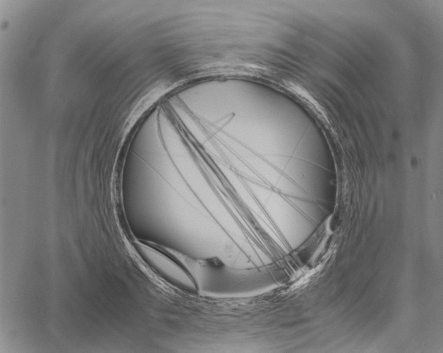 X0000060570893200512011704