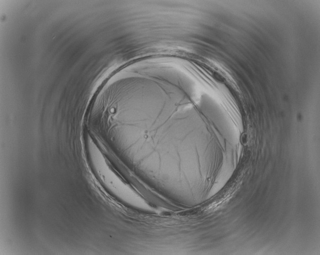 X0000060570899200512011704