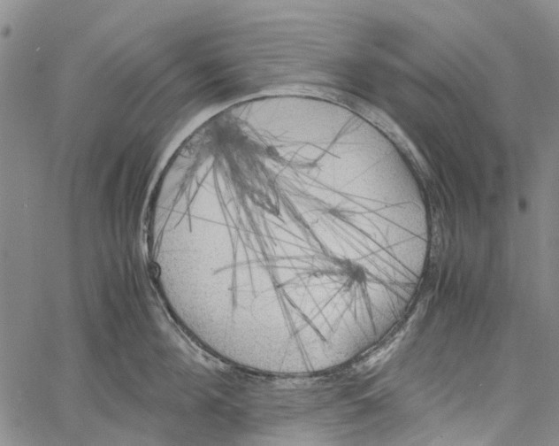 X0000060570908200512011704