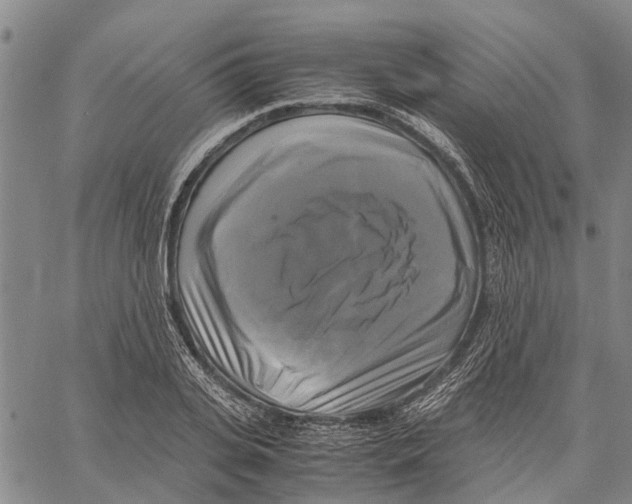 X0000060570935200512011704